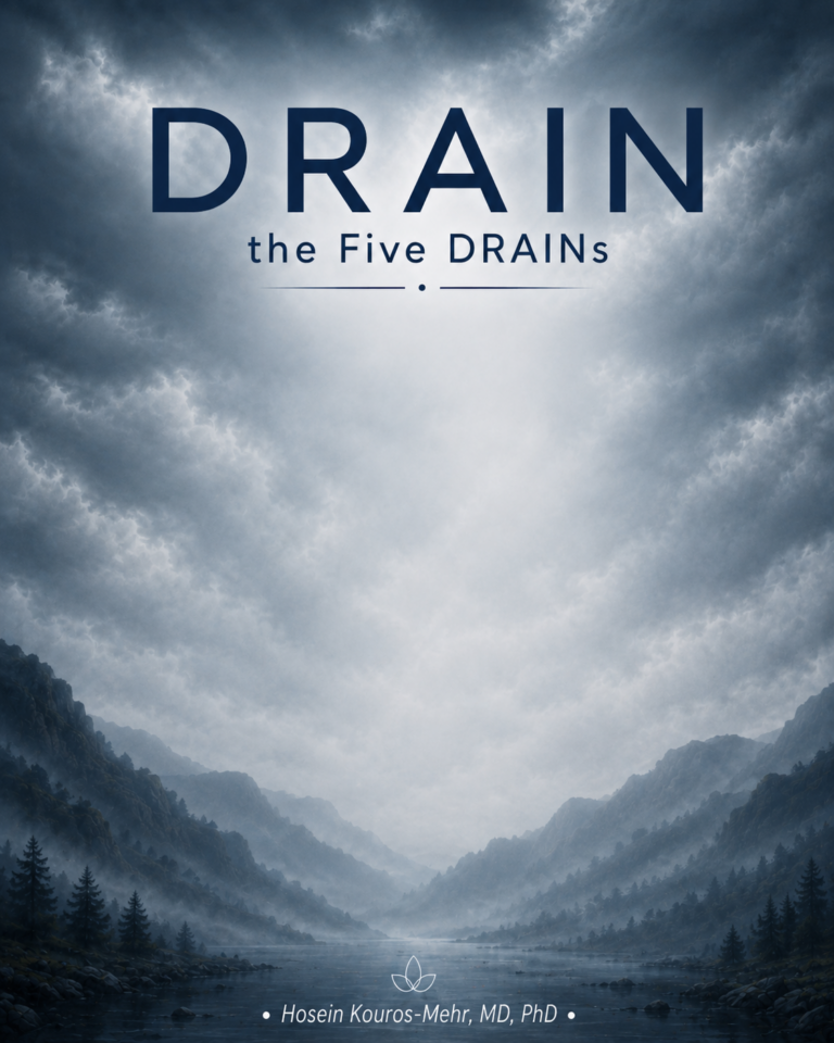 The 5 DRAINs video thumbnail